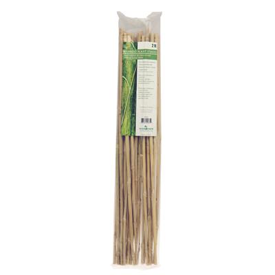 3ft Bamboo Stakes 90cm - each