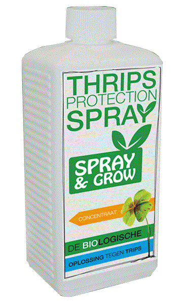 Spray & Grow Spider Thrips Protection