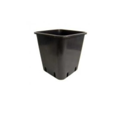 6.5Lt Square Pot