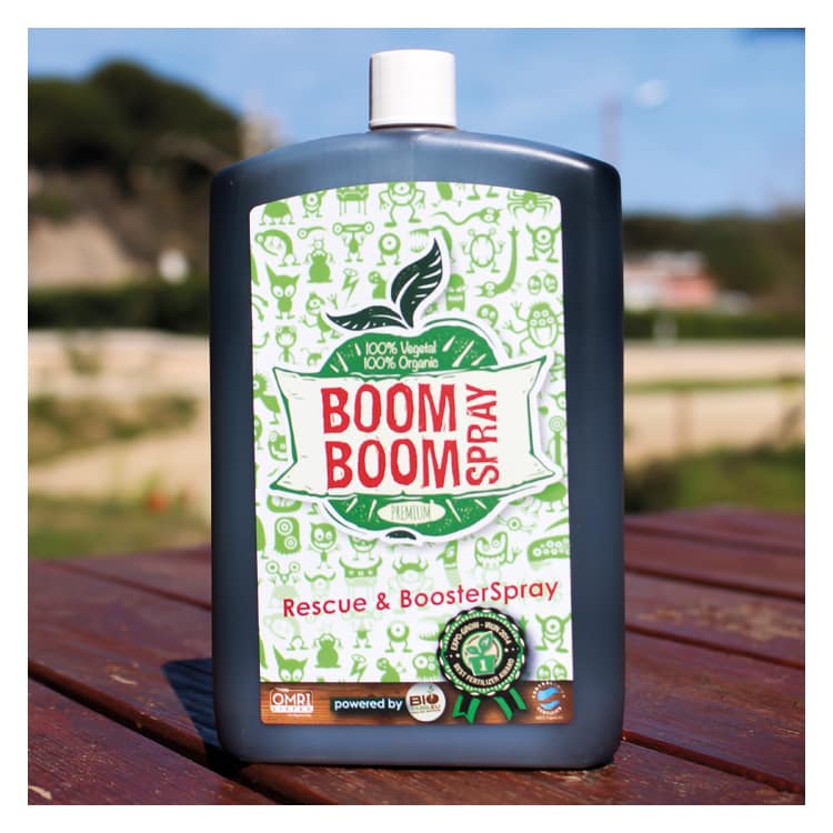 Boom Boom Spray 250ml