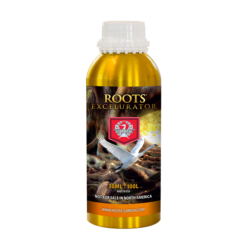 House & Garden - Roots Excelurator Gold