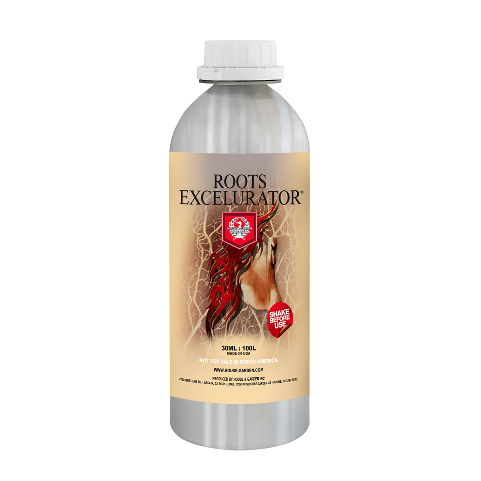 House & Garden - Roots Excelurator Silver