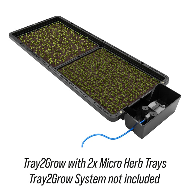 Tray2Grow Micro Herb Tray