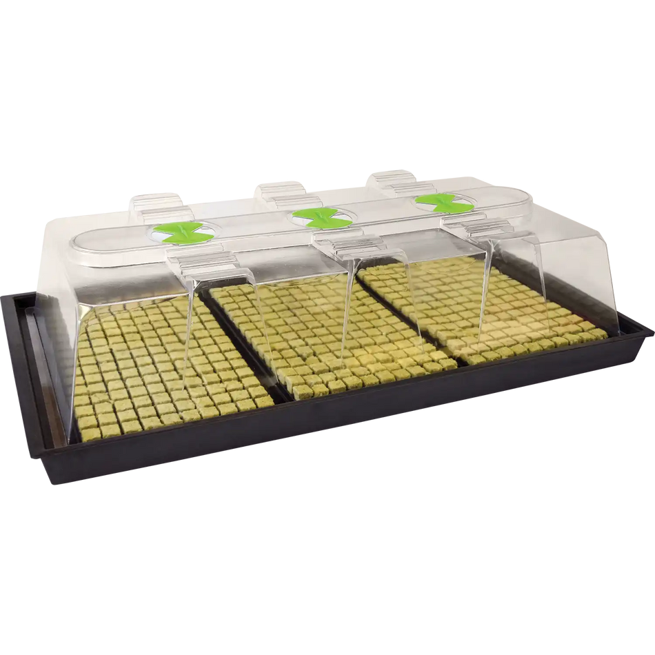 X-STREAM HEAT PROPAGATOR