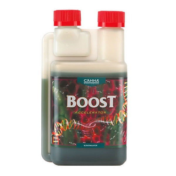 CANNA BOOST Accelerator