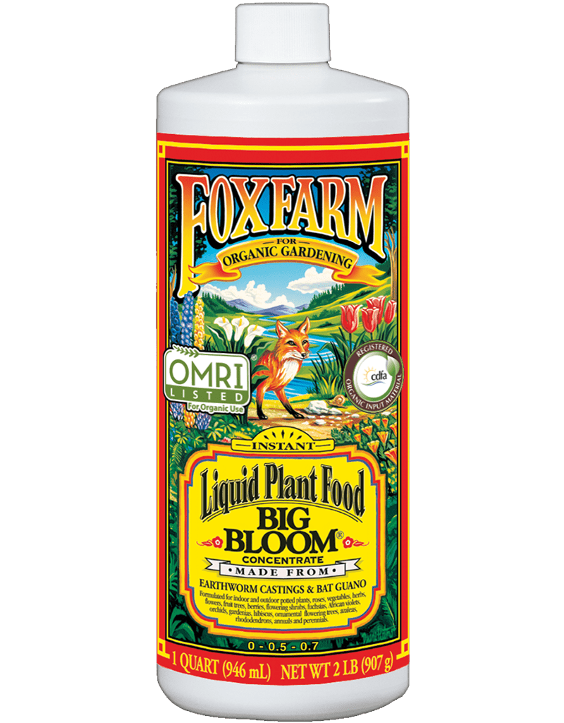 BIG BLOOM - Fox Farm