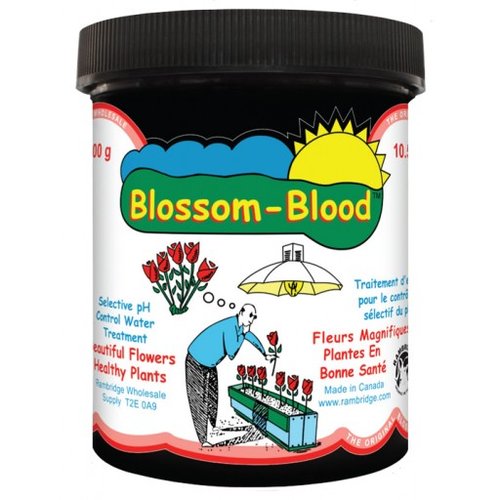 BLOSSOM BLOOD - Rambridge