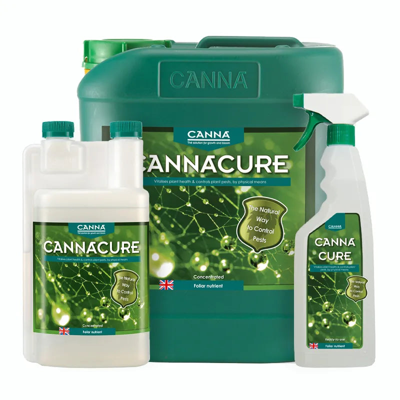 CANNA CURE Concentrate