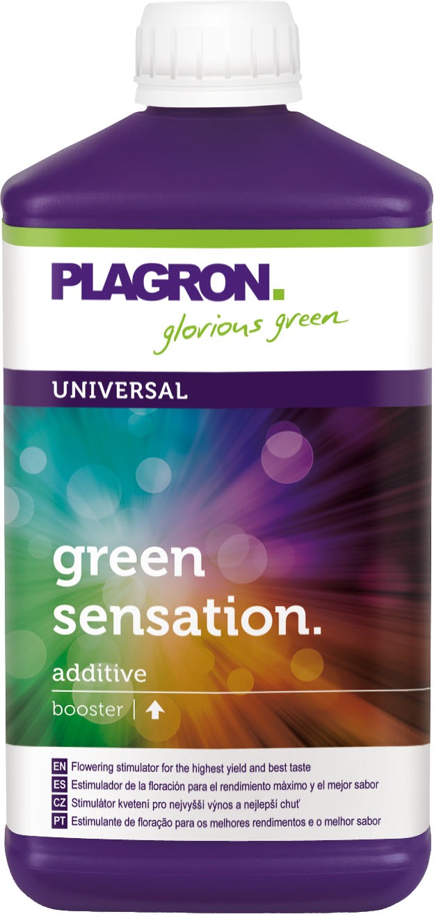 PLAGRON Green Sensation