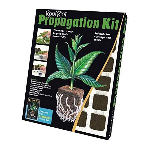 Root Riot Humidity Box Root Riot Propagation Kit – Dublin Indoor Gardening