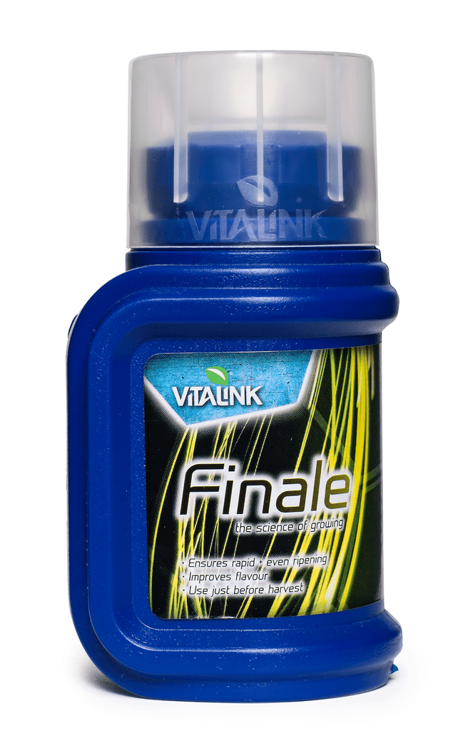 VitaLink Finale